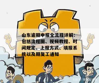 山东逾期申报全流程详解：包括流程图、视频教程、时间规定、上报方式、填报系统以及期复工通知