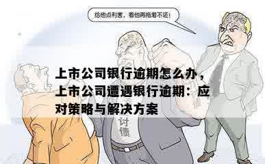 上市公司银行逾期怎么办，上市公司遭遇银行逾期：应对策略与解决方案