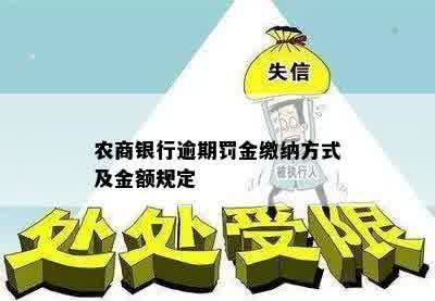 农商银行逾期罚金缴纳方式及金额规定