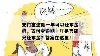 支付宝逾期一年可以还本金吗，支付宝逾期一年是否能只还本金？答案在这里！