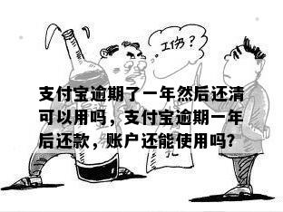 支付宝逾期了一年然后还清可以用吗，支付宝逾期一年后还款，账户还能使用吗？