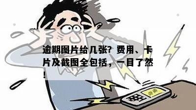 逾期图片给几张？费用、卡片及截图全包括，一目了然！