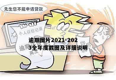 逾期图片2021-2023全年度截图及详细说明