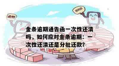 金条逾期通告函一次性还清吗，如何应对金条逾期：一次性还清还是分批还款？