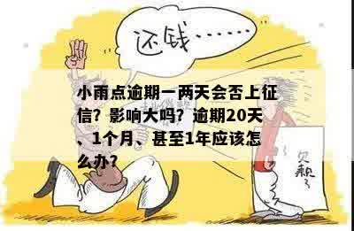 小雨点逾期一两天会否上征信？影响大吗？逾期20天、1个月、甚至1年应该怎么办？