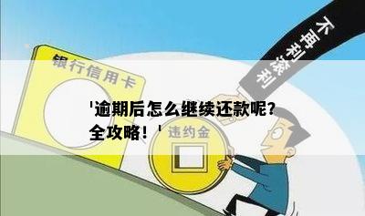 '逾期后怎么继续还款呢？全攻略！'