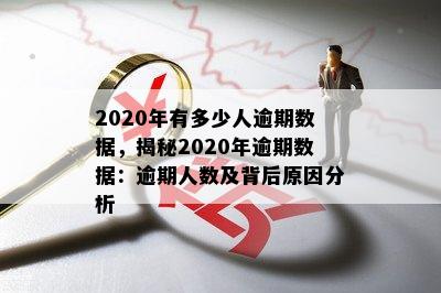 2020年有多少人逾期数据，揭秘2020年逾期数据：逾期人数及背后原因分析