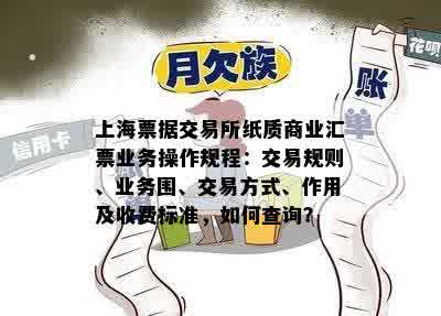 上海票据交易所纸质商业汇票业务操作规程：交易规则、业务围、交易方式、作用及收费标准，如何查询？