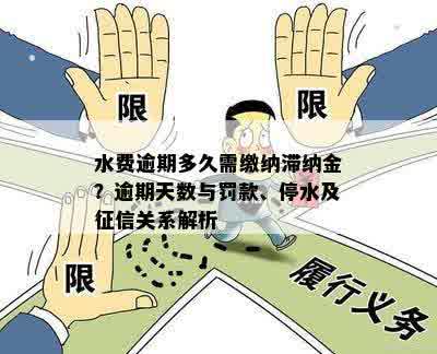 水费逾期多久需缴纳滞纳金？逾期天数与罚款、停水及征信关系解析