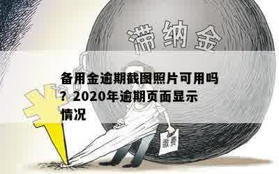 备用金逾期截图照片可用吗？2020年逾期页面显示情况