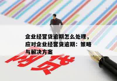 企业经营贷逾期怎么处理，应对企业经营贷逾期：策略与解决方案