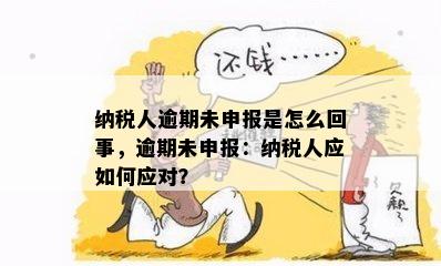 纳税人逾期未申报是怎么回事，逾期未申报：纳税人应如何应对？