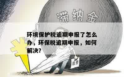 环境保护税逾期申报了怎么办，环保税逾期申报，如何解决？