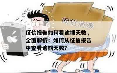 征信报告如何看逾期天数，全面解析：如何从征信报告中查看逾期天数？