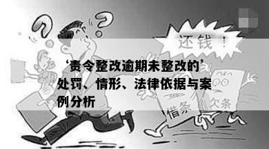 ‘责令整改逾期未整改的’处罚、情形、法律依据与案例分析