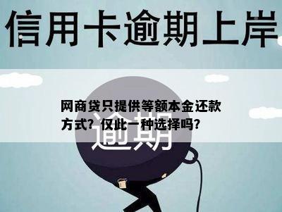 网商贷只提供等额本金还款方式？仅此一种选择吗？