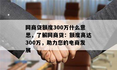 网商贷额度300万什么意思，了解网商贷：额度高达300万，助力您的电商发展