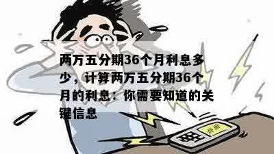 两万五分期36个月利息多少，计算两万五分期36个月的利息：你需要知道的关键信息