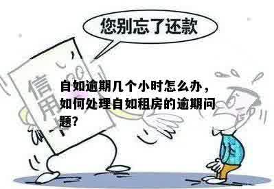 自如逾期几个小时怎么办，如何处理自如租房的逾期问题？