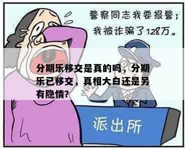 分期乐移交是真的吗，分期乐已移交，真相大白还是另有隐情？