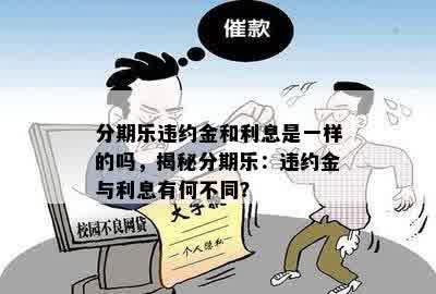 分期乐违约金和利息是一样的吗，揭秘分期乐：违约金与利息有何不同？