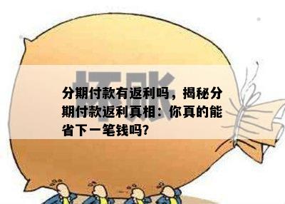 分期付款有返利吗，揭秘分期付款返利真相：你真的能省下一笔钱吗？