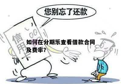 如何在分期乐查看借款合同及费率？