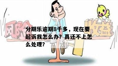 分期乐逾期8千多，现在要起诉我怎么办？真还不上怎么处理？