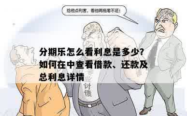 分期乐怎么看利息是多少？如何在中查看借款、还款及总利息详情