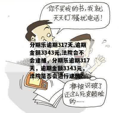 分期乐逾期317天,逾期金额3343元,法院会不会逮捕，分期乐逾期317天，逾期金额3343元，法院是否会进行逮捕？