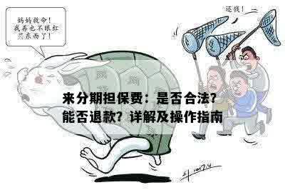 来分期担保费：是否合法？能否退款？详解及操作指南