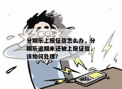 分期乐上报征信怎么办，分期乐逾期未还被上报征信，该如何处理？