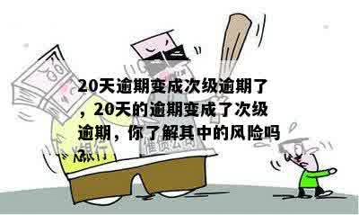 20天逾期变成次级逾期了，20天的逾期变成了次级逾期，你了解其中的风险吗？