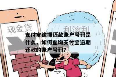 支付宝逾期还款账户号码是什么，如何查询支付宝逾期还款的账户号码？