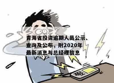 青海省投资逾期人员公示、查询及公布，附2020年最新消息与总经理信息