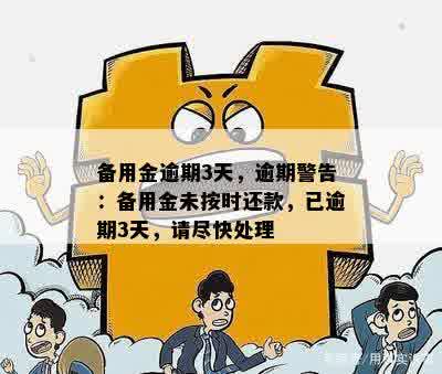 备用金逾期3天，逾期警告：备用金未按时还款，已逾期3天，请尽快处理