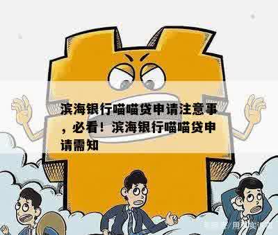 滨海银行喵喵贷申请注意事，必看！滨海银行喵喵贷申请需知