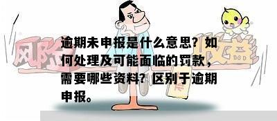 逾期未申报是什么意思？如何处理及可能面临的罚款，需要哪些资料？区别于逾期申报。