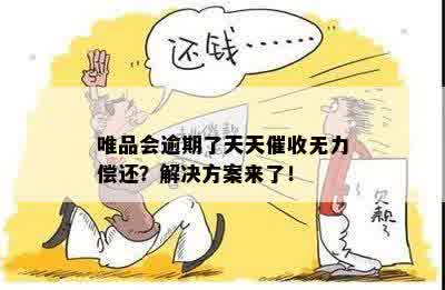 唯品会逾期了天天催收无力偿还？解决方案来了！