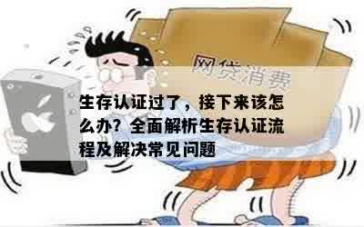 生存认证过了，接下来该怎么办？全面解析生存认证流程及解决常见问题