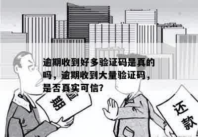 逾期收到好多验证码是真的吗，逾期收到大量验证码，是否真实可信？