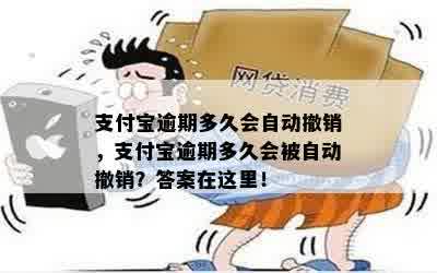 支付宝逾期多久会自动撤销，支付宝逾期多久会被自动撤销？答案在这里！