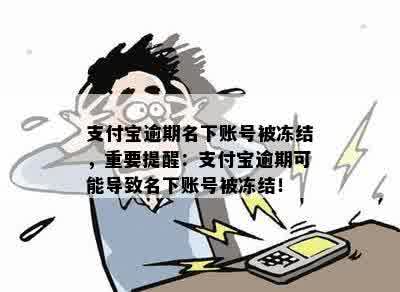 支付宝逾期名下账号被冻结，重要提醒：支付宝逾期可能导致名下账号被冻结！