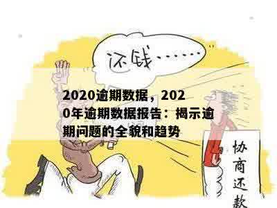 2020逾期数据，2020年逾期数据报告：揭示逾期问题的全貌和趋势