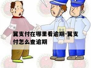 翼支付在哪里看逾期-翼支付怎么查逾期