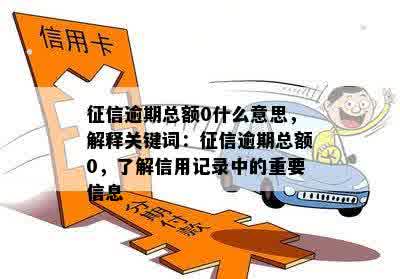 征信逾期总额0什么意思，解释关键词：征信逾期总额0，了解信用记录中的重要信息