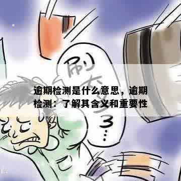 逾期检测是什么意思，逾期检测：了解其含义和重要性