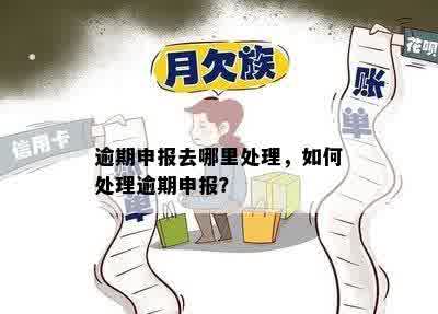 逾期申报去哪里处理，如何处理逾期申报？