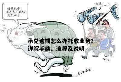 承兑逾期怎么办托收业务？详解手续、流程及说明