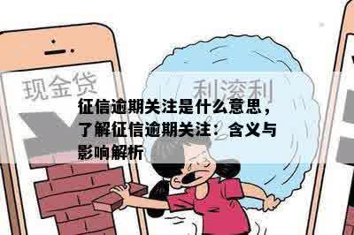 征信逾期关注是什么意思，了解征信逾期关注：含义与影响解析